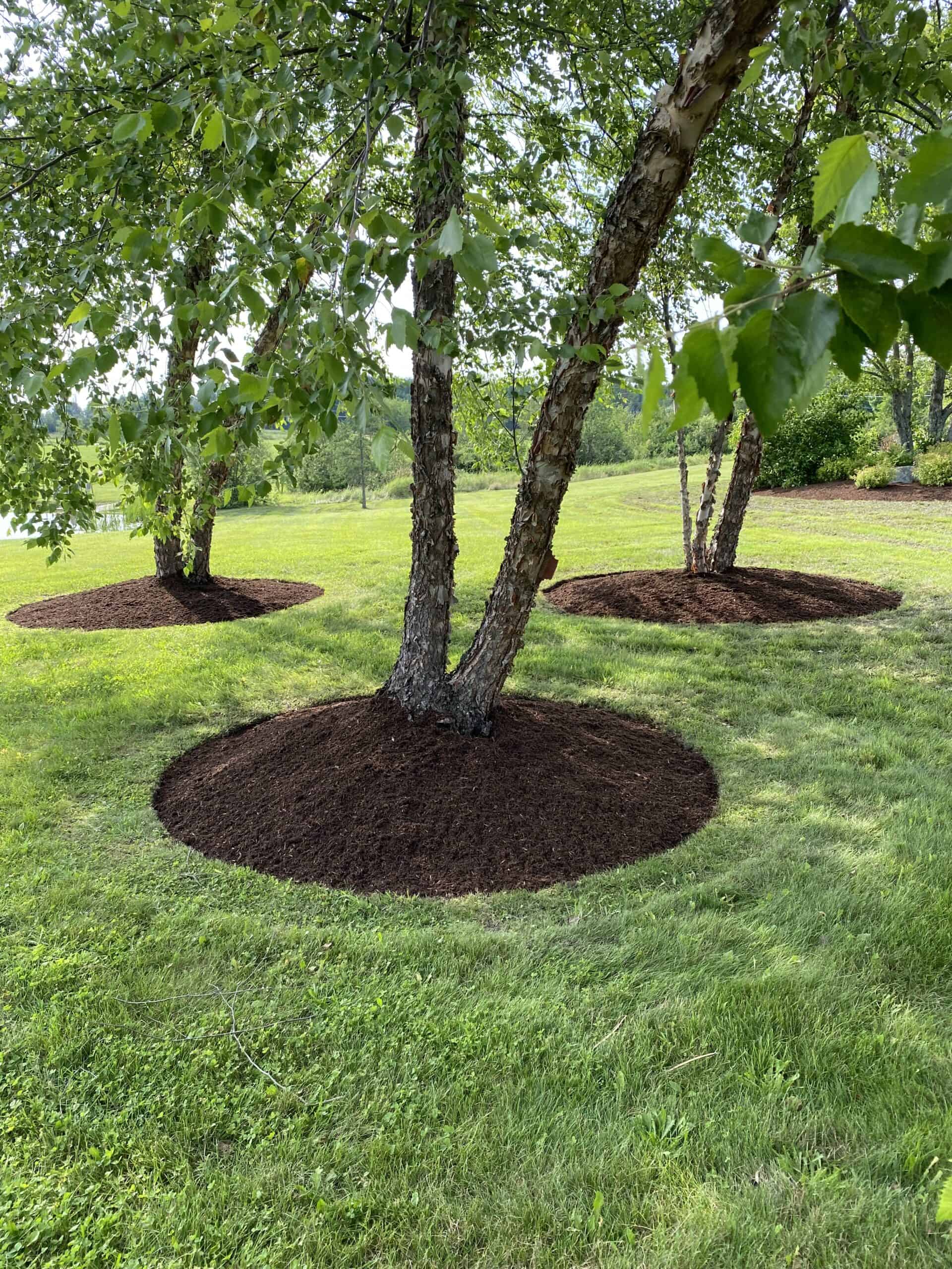 mulch by nek landscaping